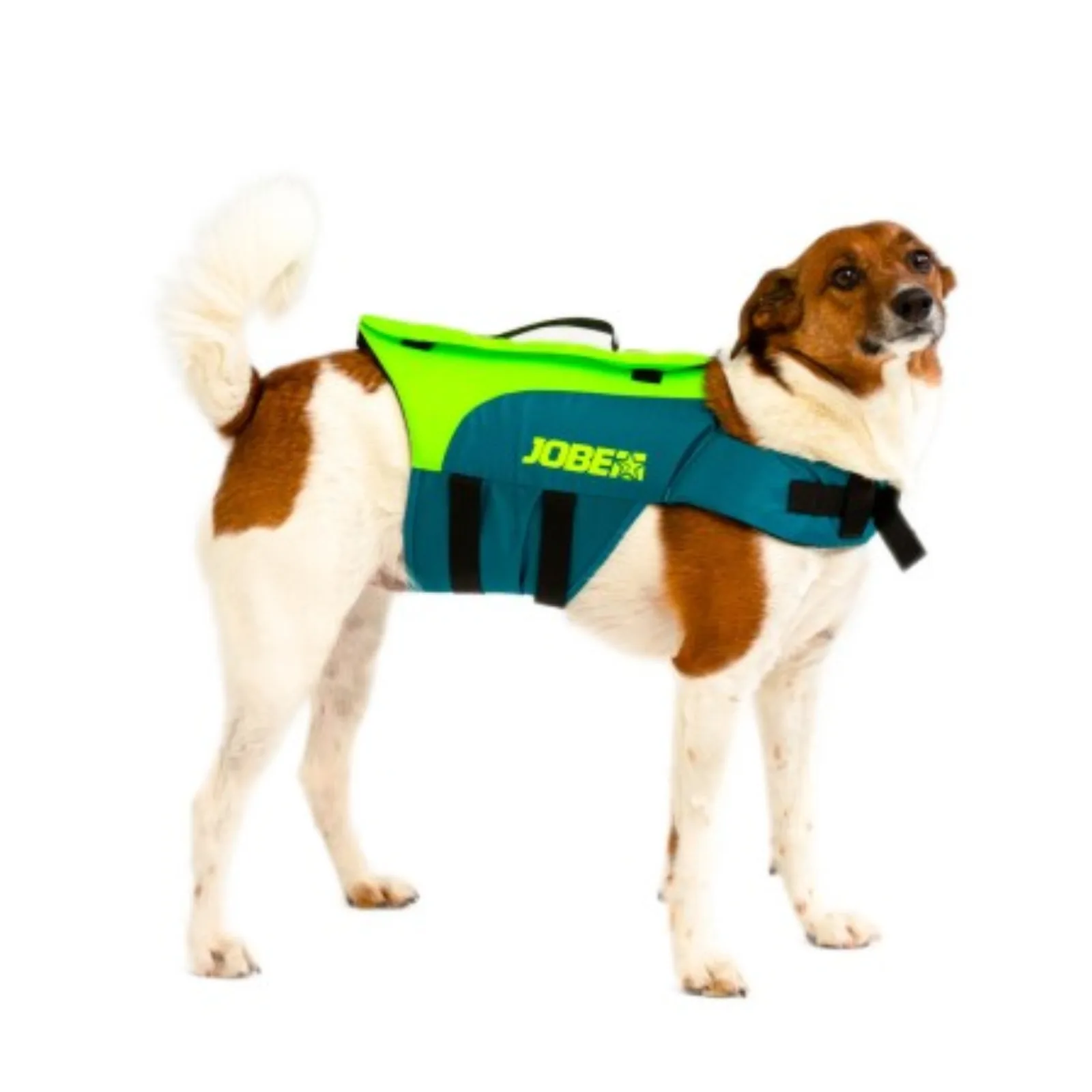 Jobe Pet Yelek Lime Turkuaz