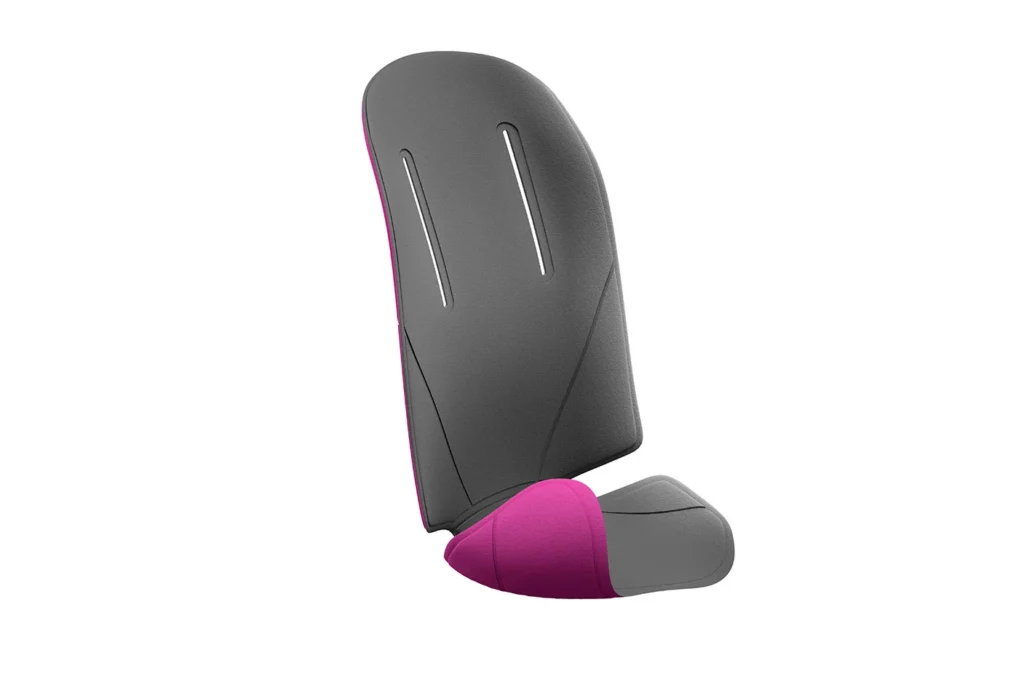 Thule RideAlong padding