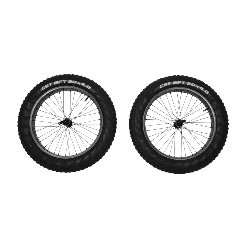 Reacha 20" fat tire wheel set