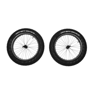 Reacha 20" fat Lastik Tekerlek Set