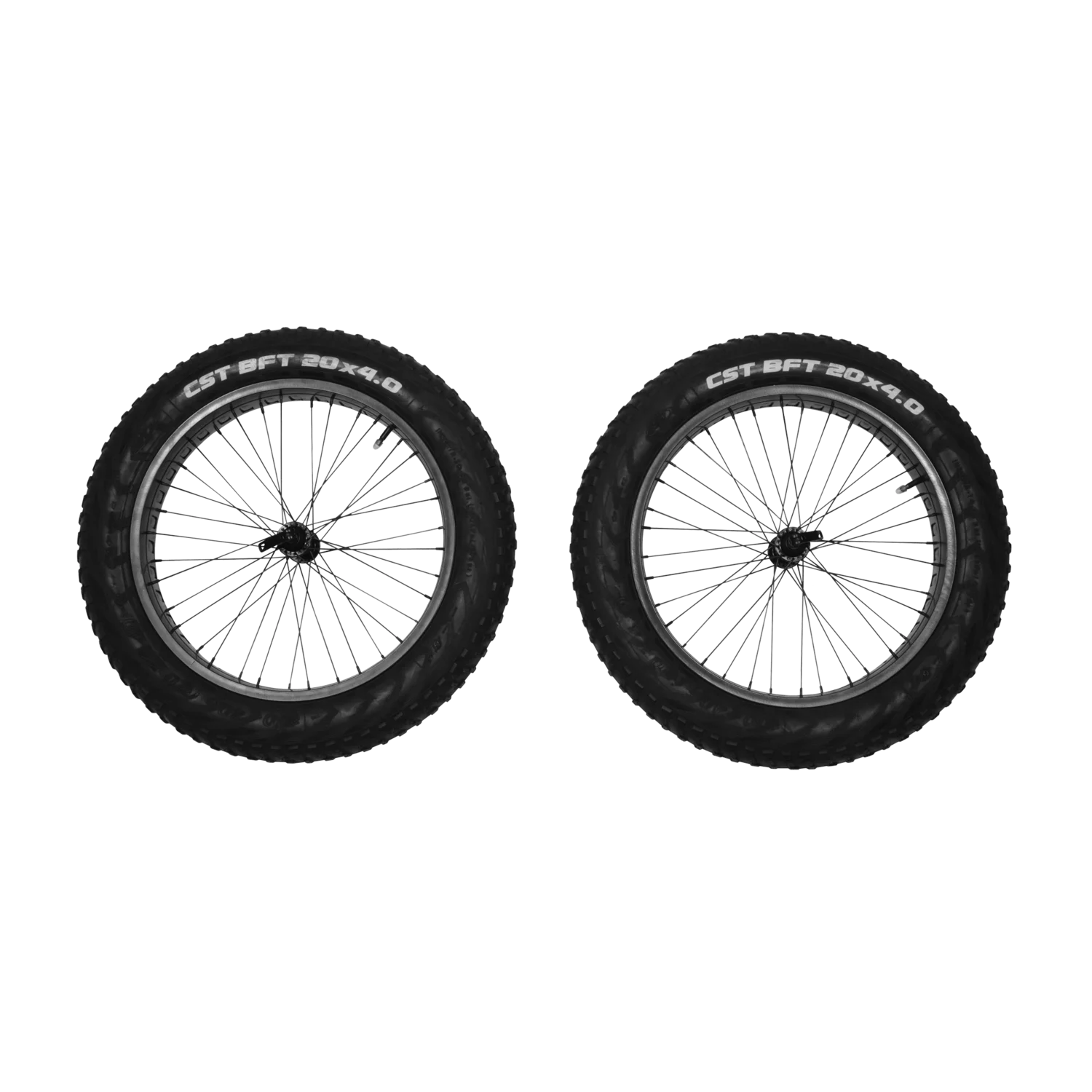 Reacha 20" fat Lastik Tekerlek Set