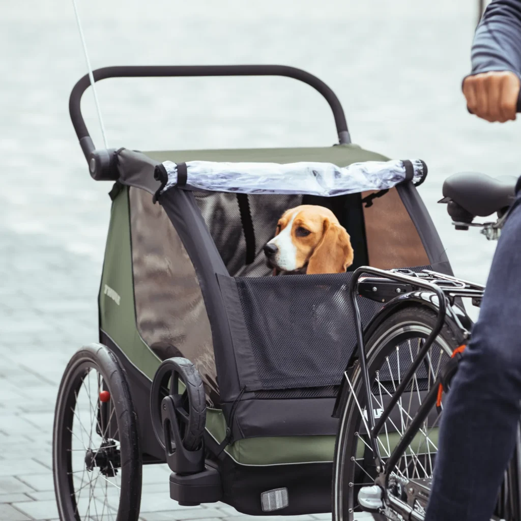 Thule Courier