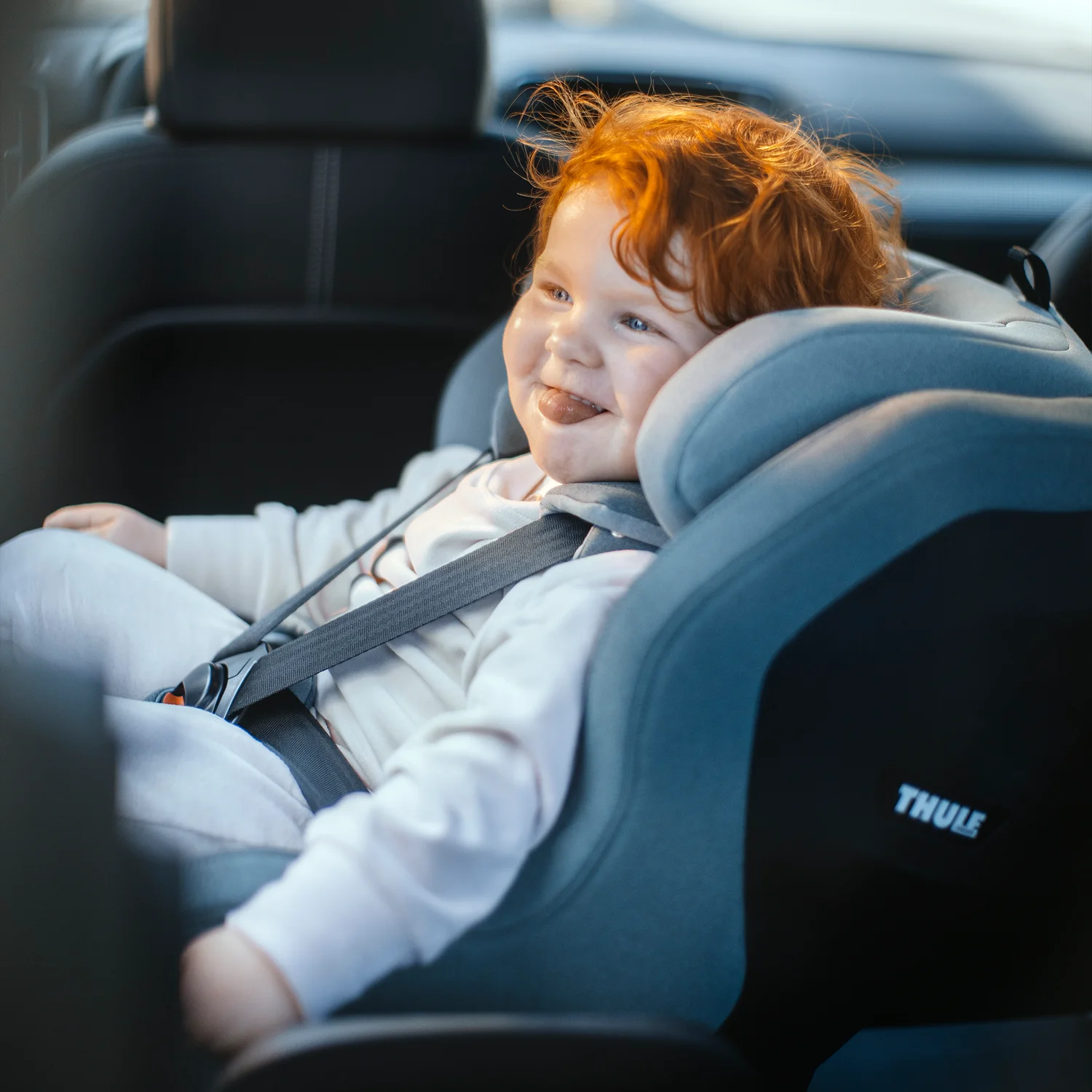Thule Elm toddler Oto Koltuğu