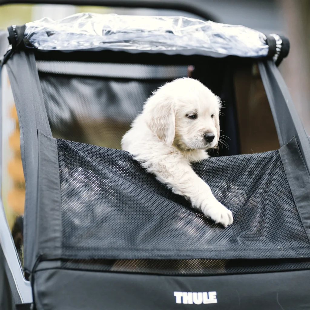 Thule Courier Köpek trailer Kit