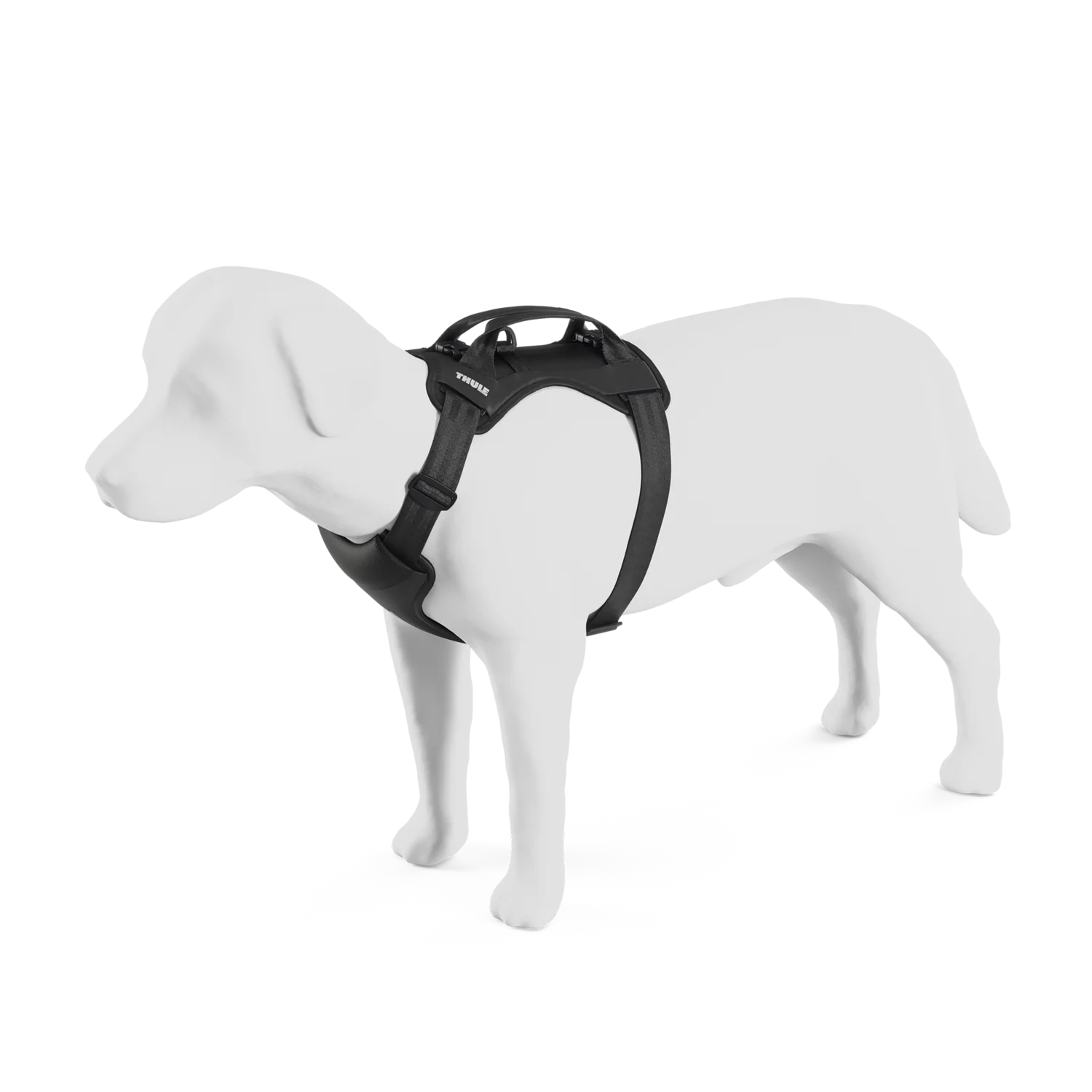 Thule Cappy