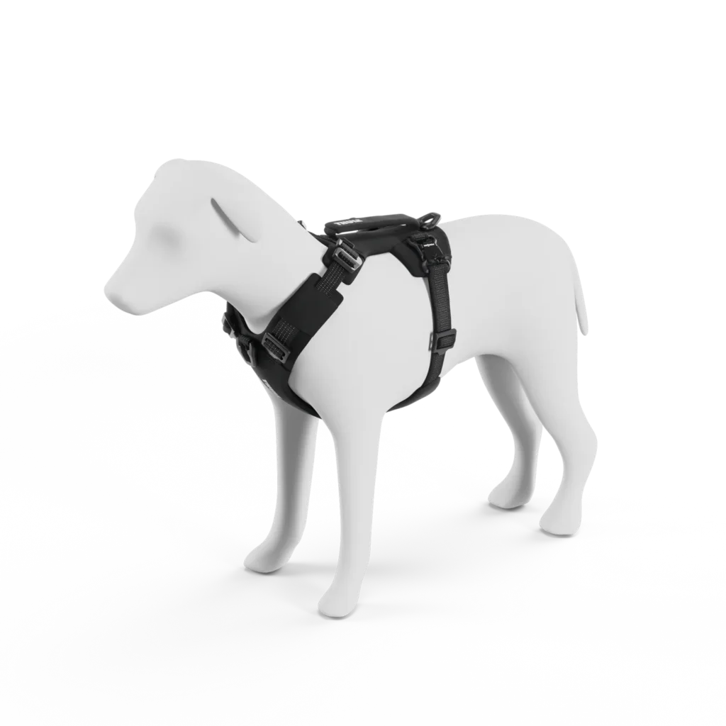 Thule Dart harness