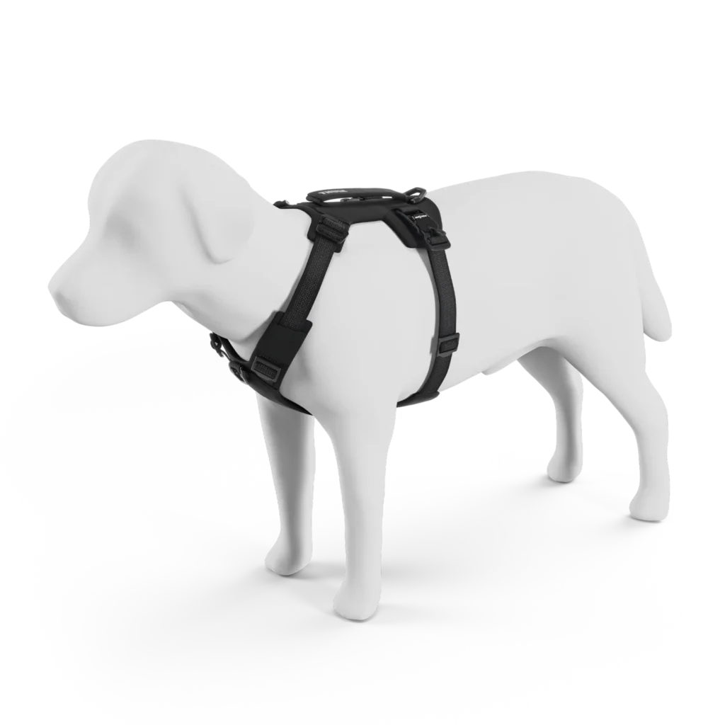 Thule Dart harness
