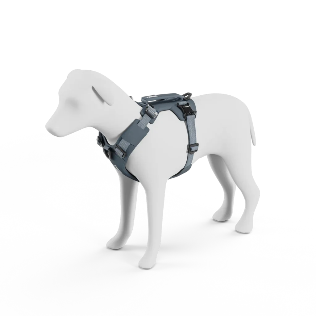 Thule Dart harness