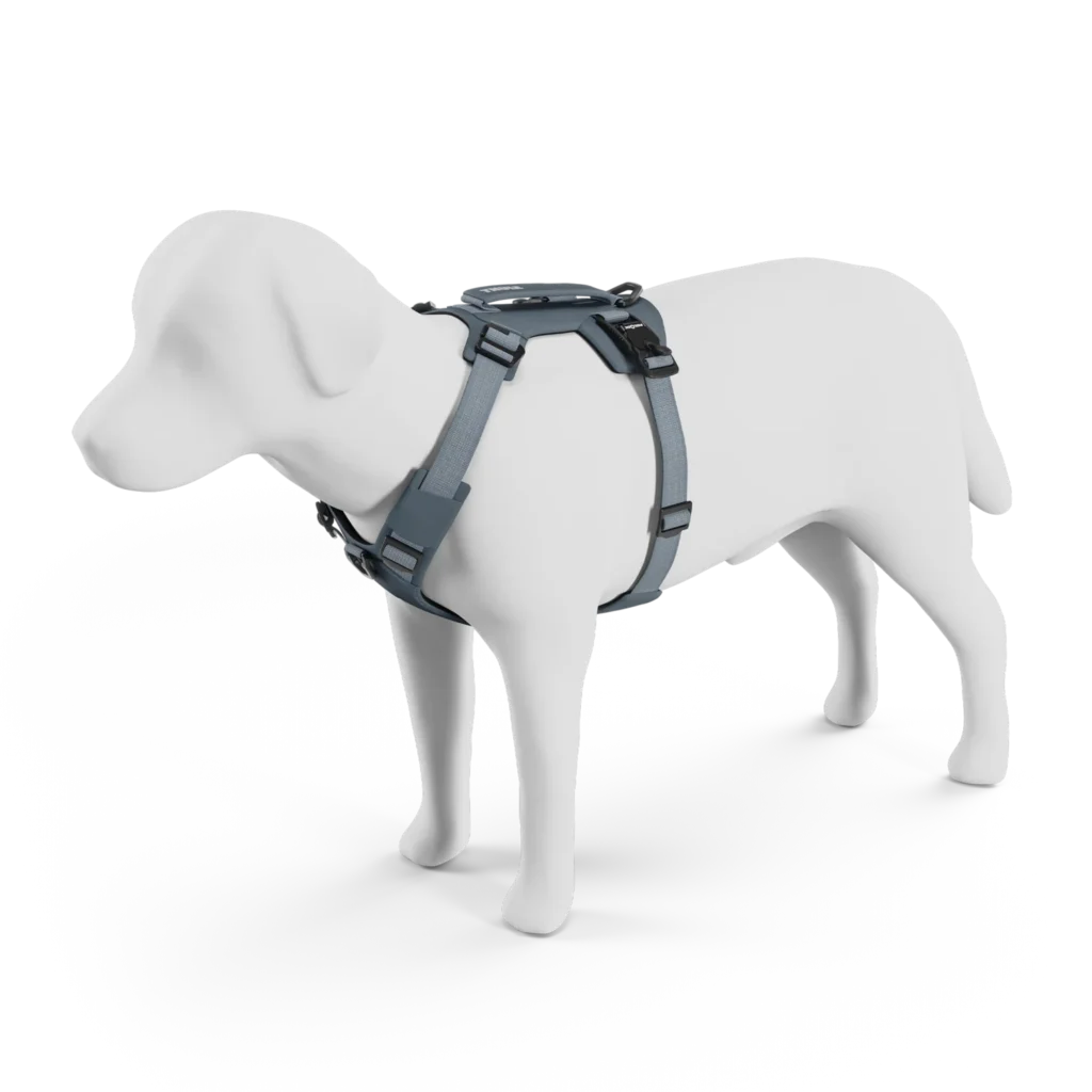 Thule Dart harness