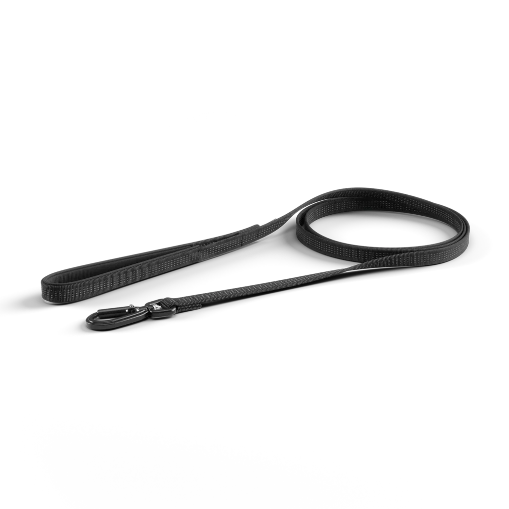 Thule Dart leash