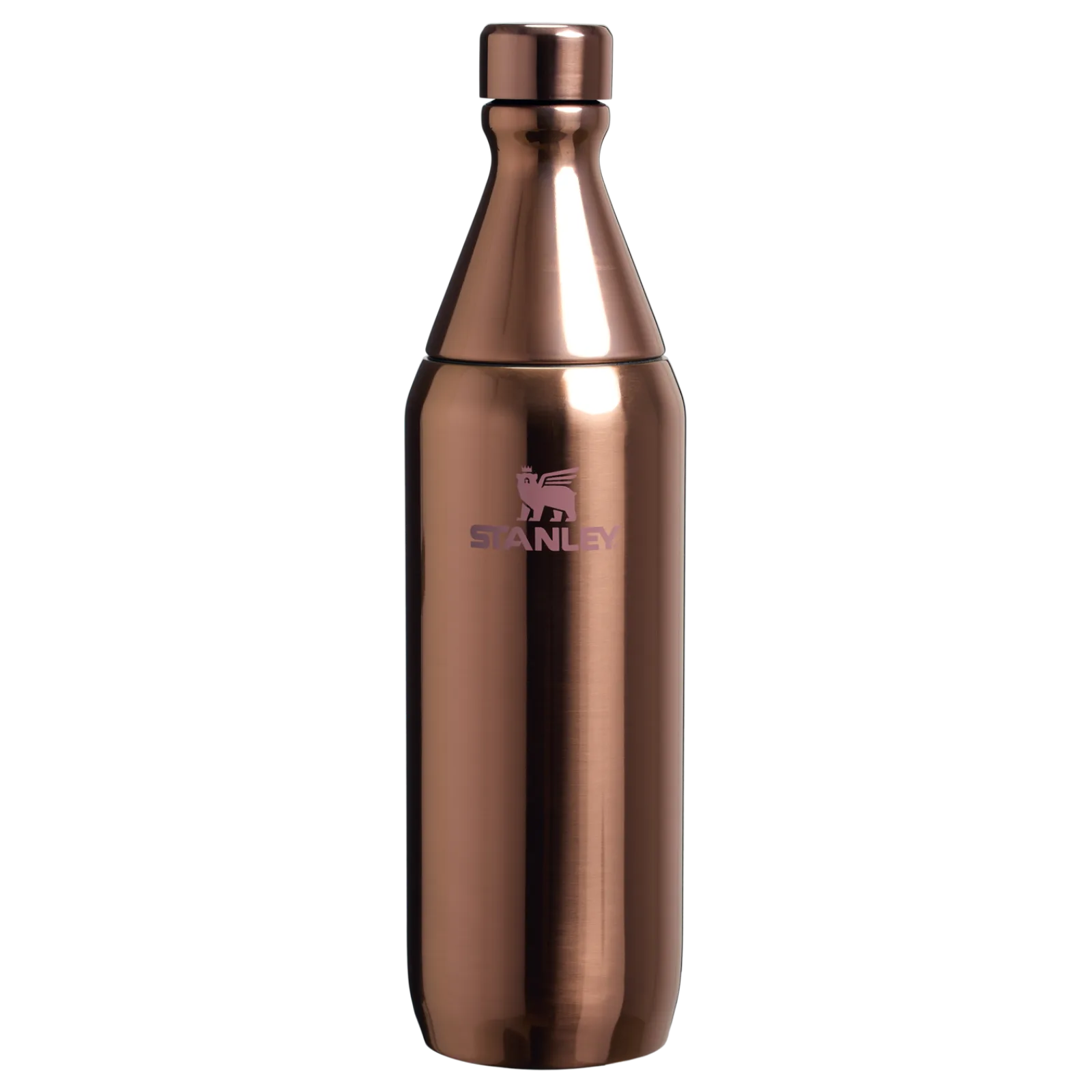 Stanley All Day Slim Şişe – Polished Pembe Gül Altın