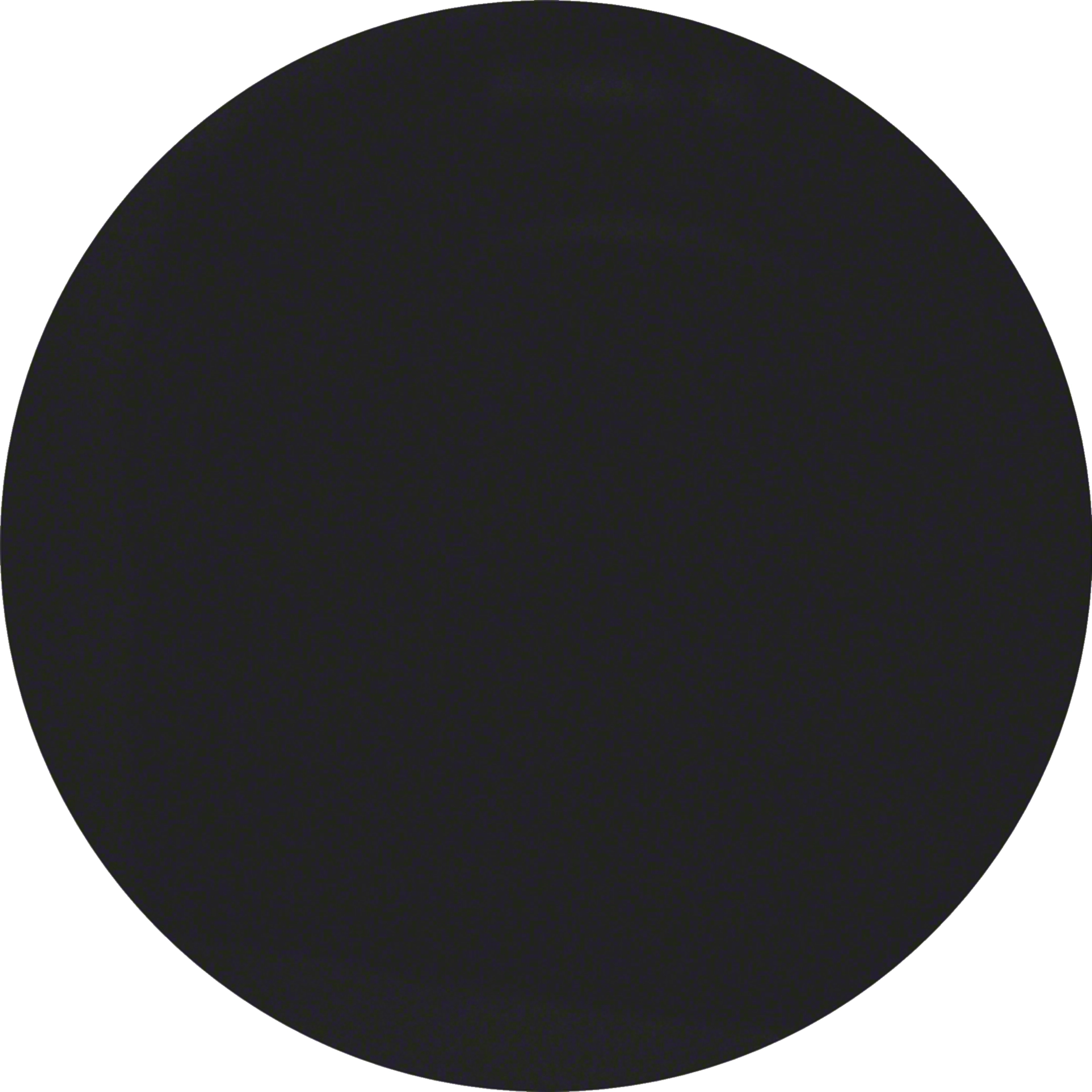 Berker R.3 Dimmer Ayarı - Siyah Cam